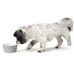 Hunter Keramisk hundskål i vacker design modell Eiby Grey
